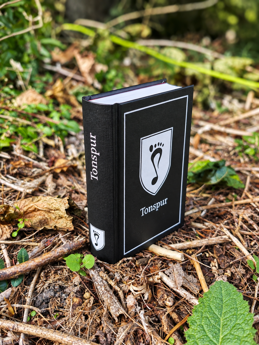 Tonspur Liederbuch